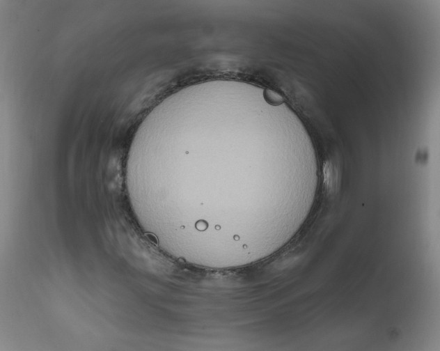 X0000112421203200909041404