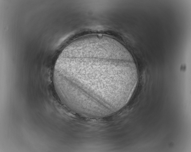 X0000112421205200909041404