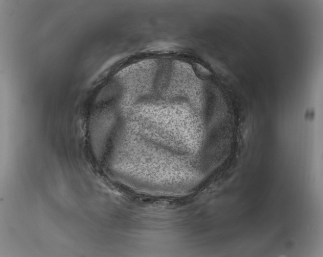 X0000112421206200909041404