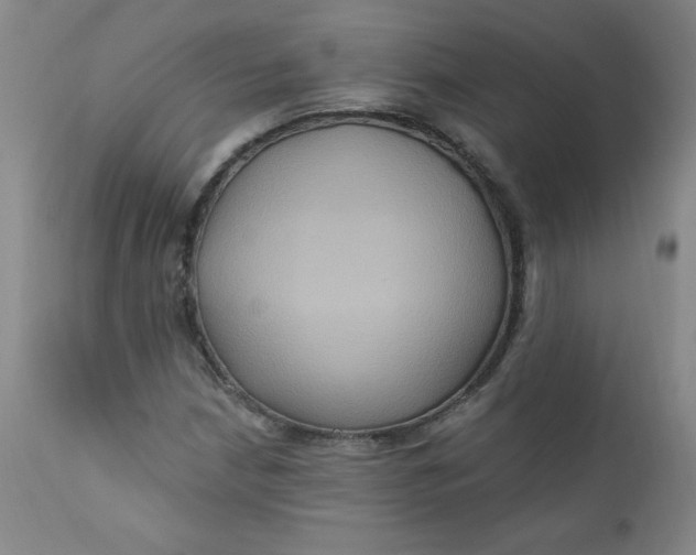 X0000112421210200909041404