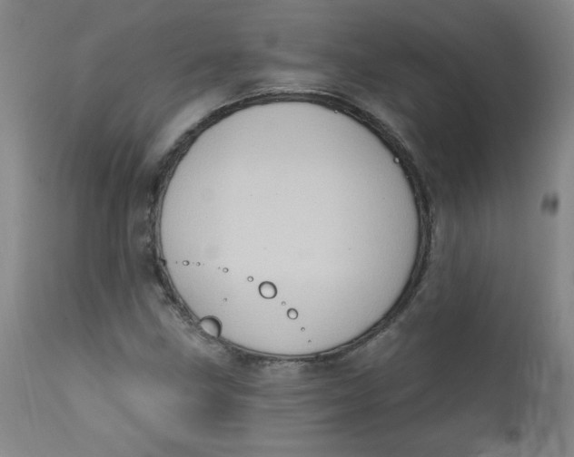 X0000112421211200909041404