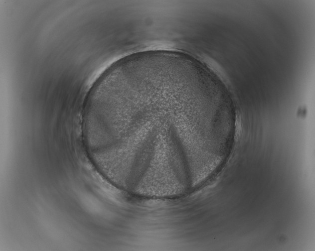 X0000112421212200909041404