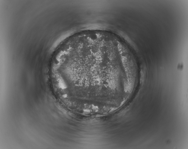 X0000112421213200909041404