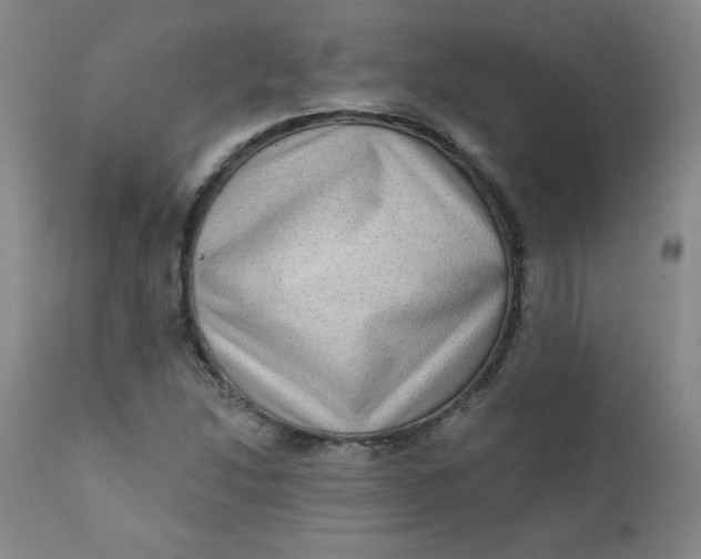 X0000112421214200909041404