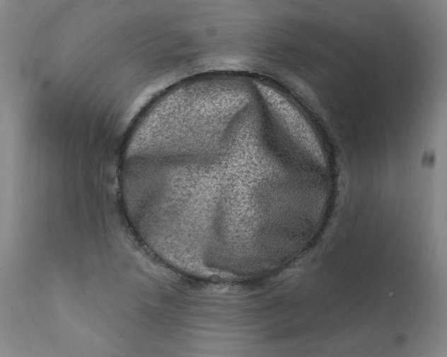 X0000112421218200909041404