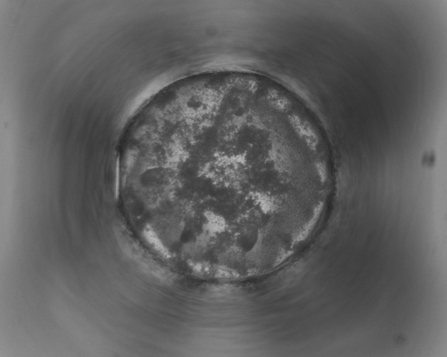 X0000112421219200909041404