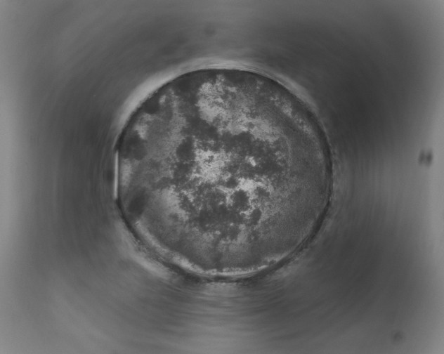 X0000112421223200909041404