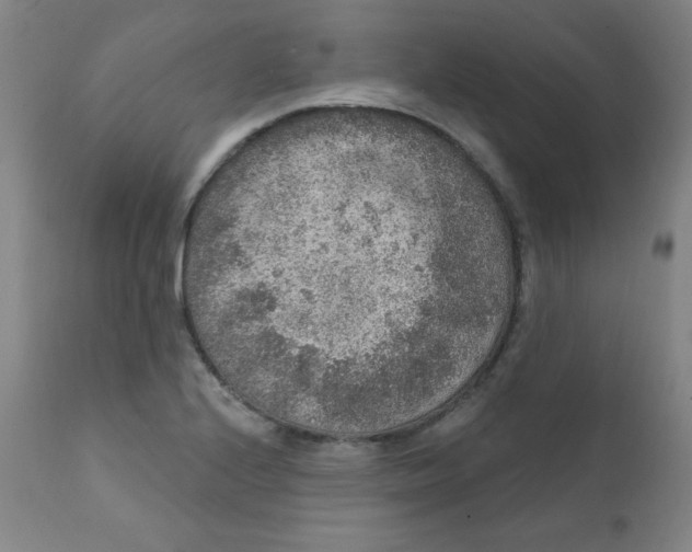 X0000112421224200909041404