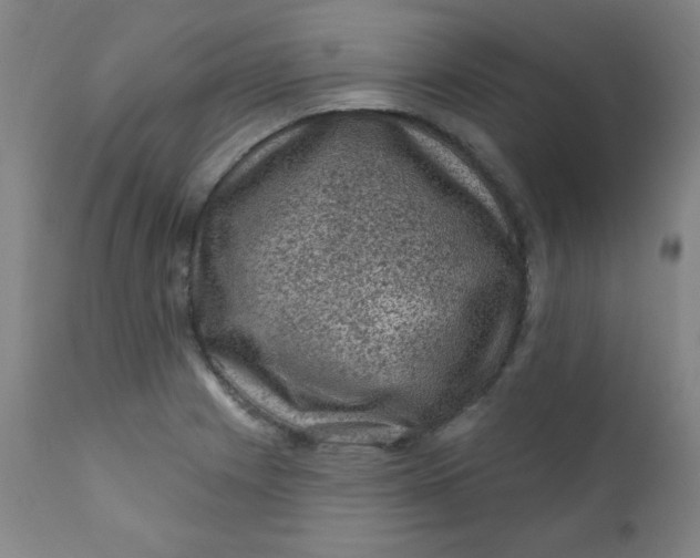 X0000112421225200909041404