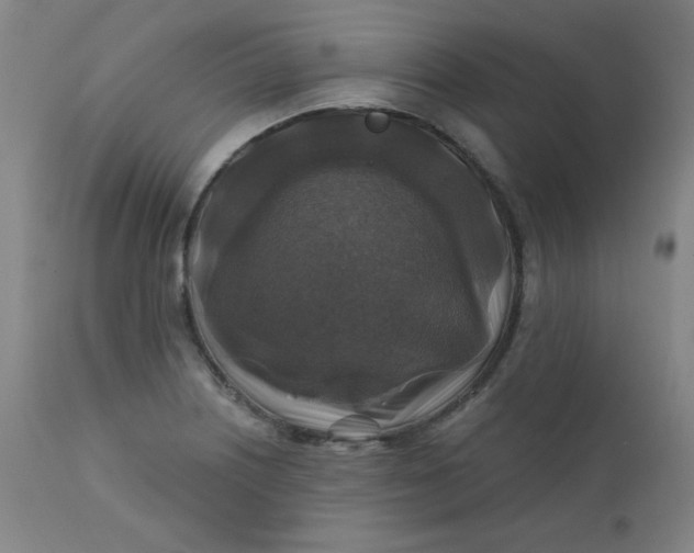 X0000112421226200909041404