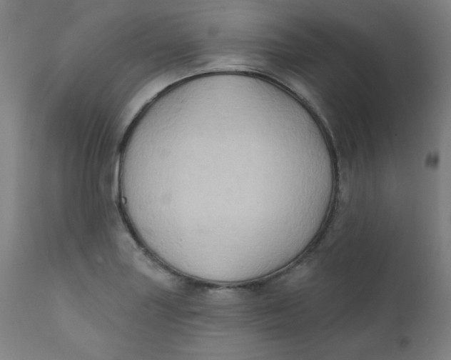 X0000112421227200909041404