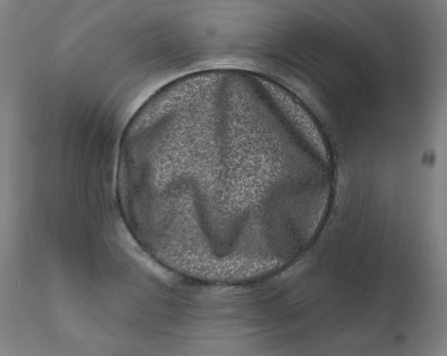 X0000112421228200909041405