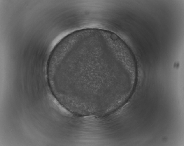 X0000112421230200909041405