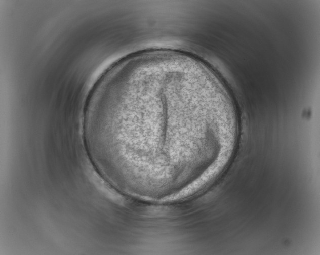 X0000112421232200909041405