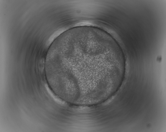 X0000112421233200909041405