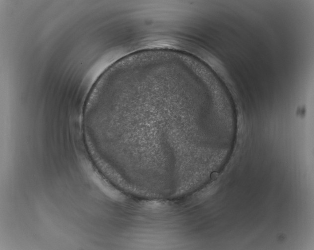 X0000112421234200909041405