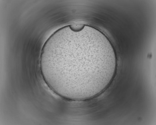 X0000112421236200909041405