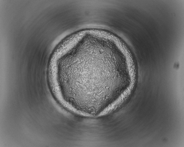 X0000112421237200909041405