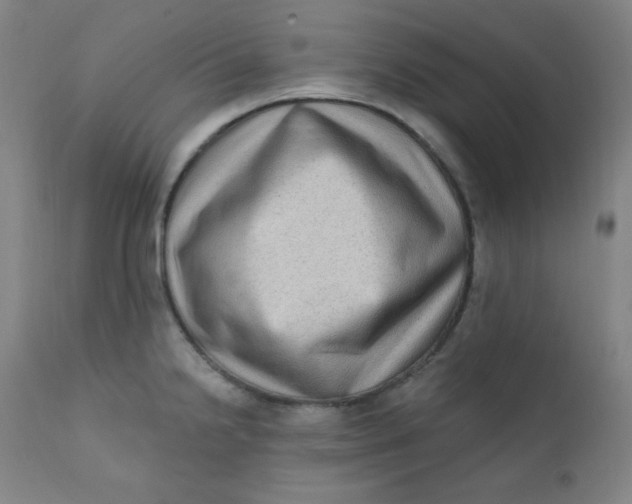 X0000112421238200909041405