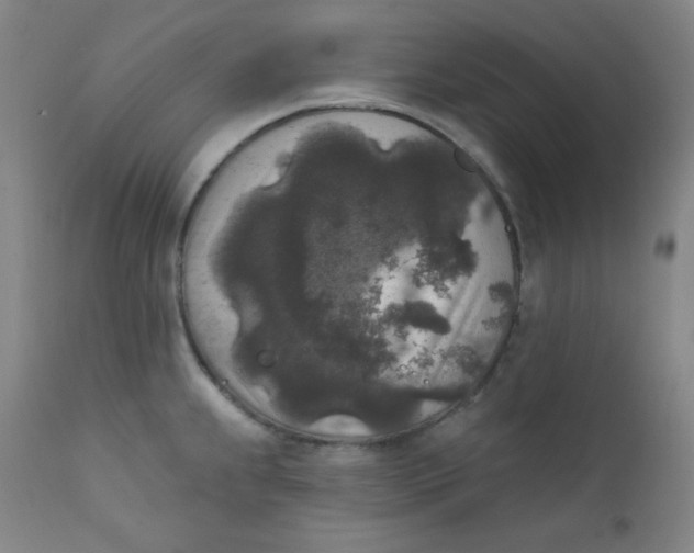 X0000112421239200909041405