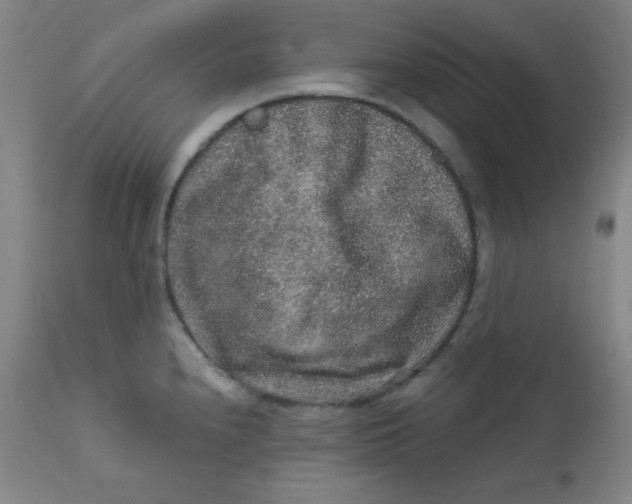 X0000112421240200909041405