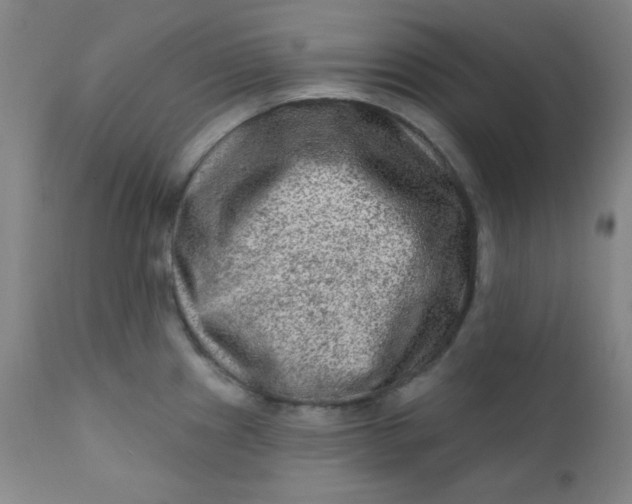 X0000112421241200909041405