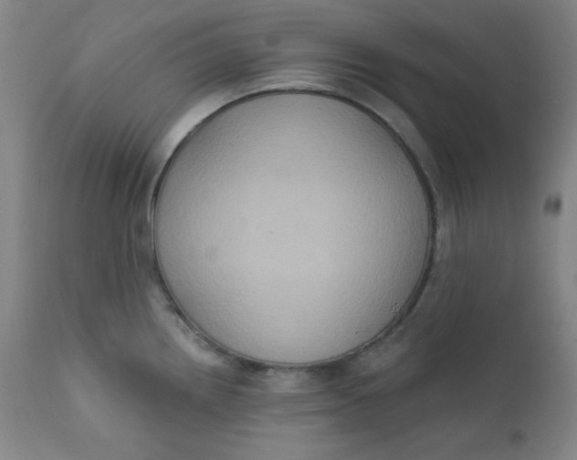 X0000112421242200909041405