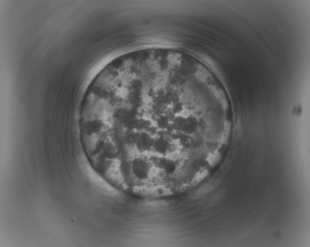 X0000112421243200909041405