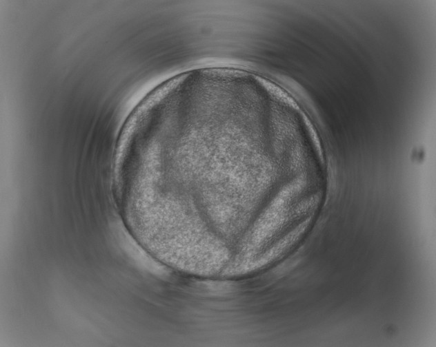 X0000112421244200909041405