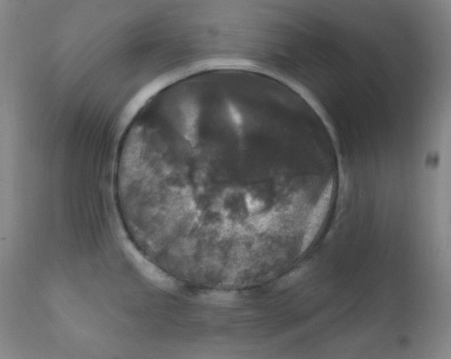 X0000112421245200909041405