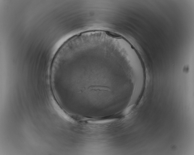 X0000112421246200909041405