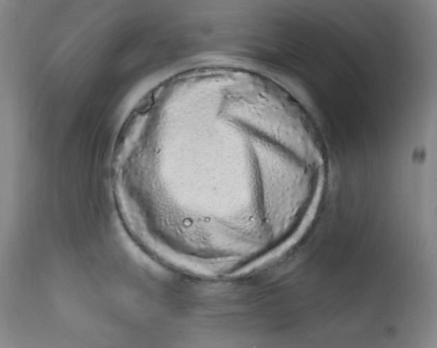 X0000112421247200909041405