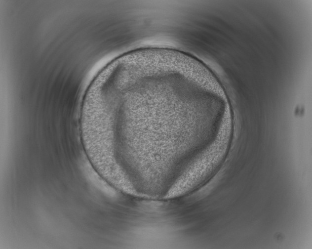 X0000112421248200909041405