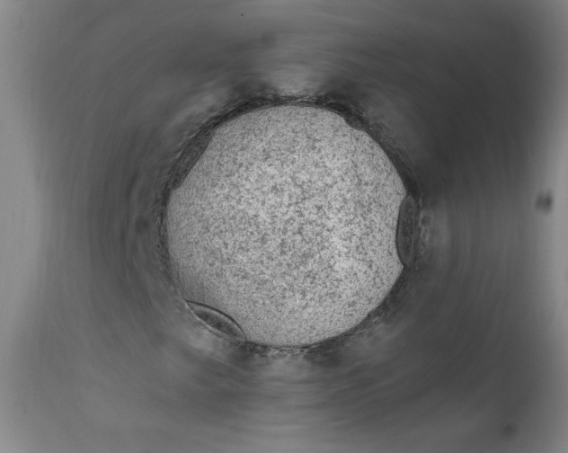 X0000112421249200909041404