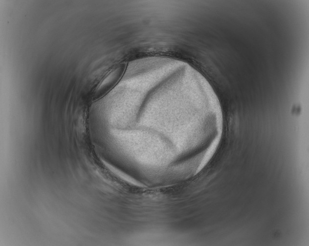 X0000112421250200909041404