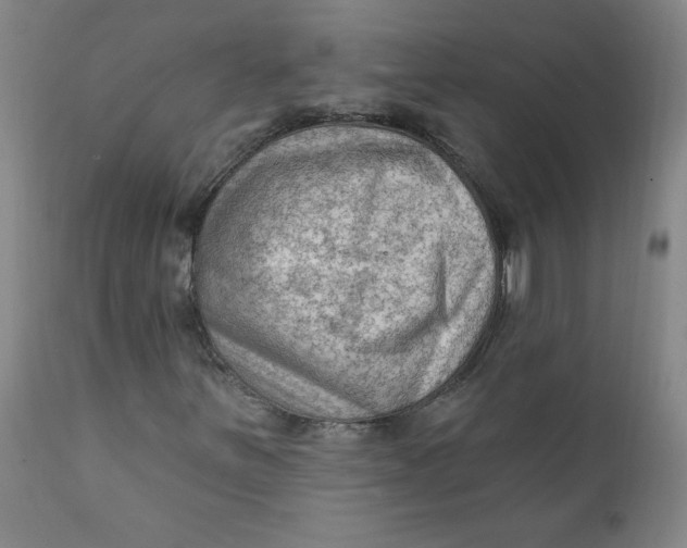 X0000112421251200909041404