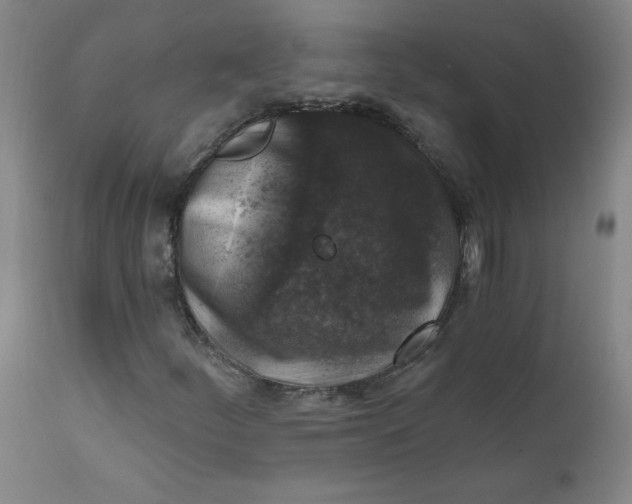 X0000112421252200909041404