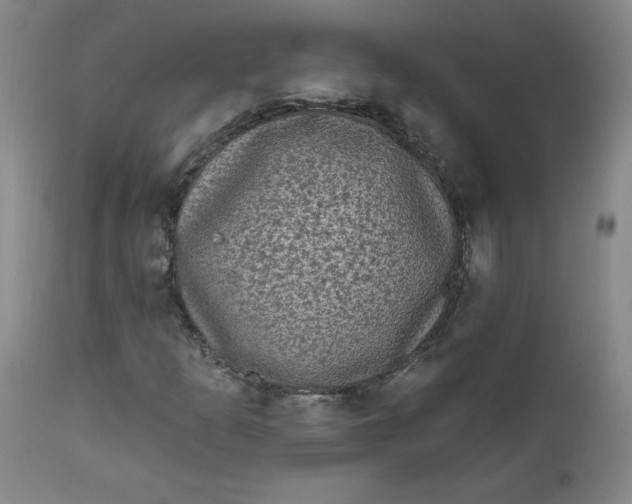 X0000112421253200909041404