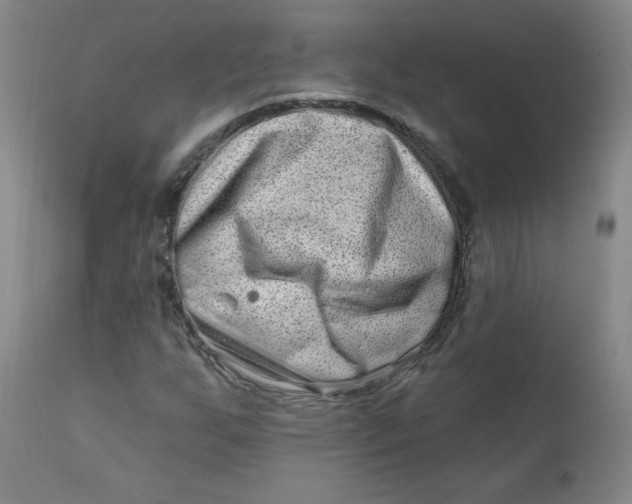 X0000112421255200909041404