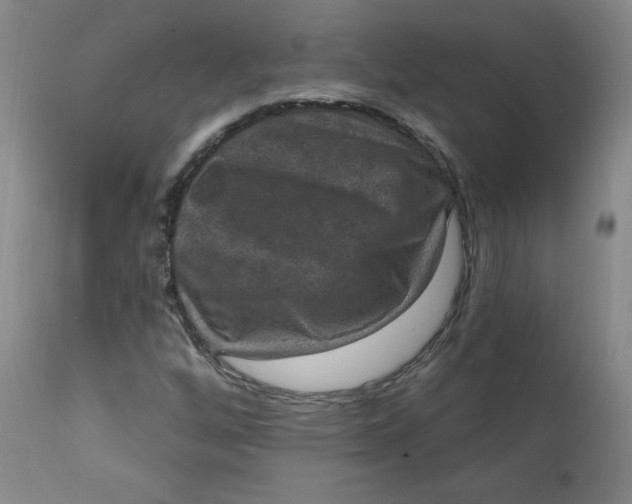 X0000112421256200909041404