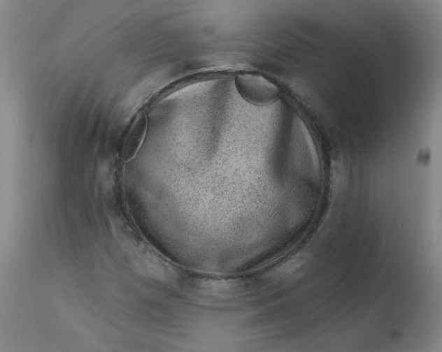 X0000112421257200909041404