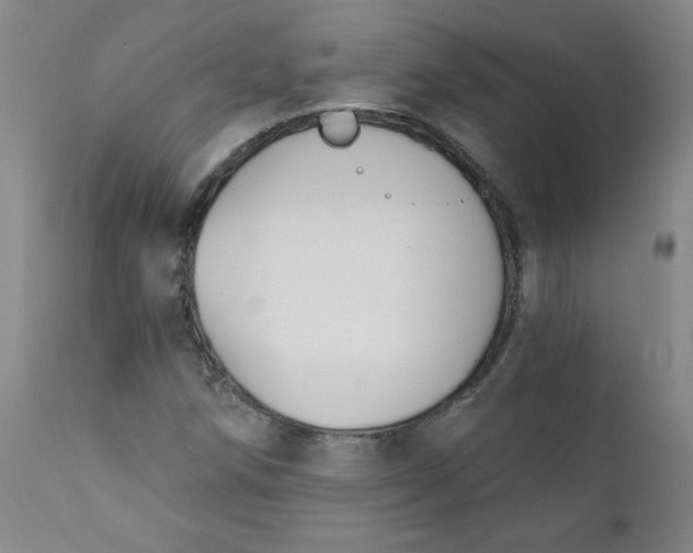 X0000112421258200909041404