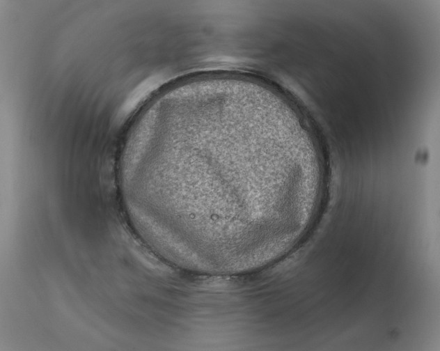 X0000112421259200909041404