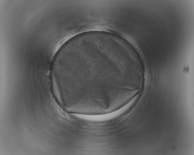 X0000112421260200909041404