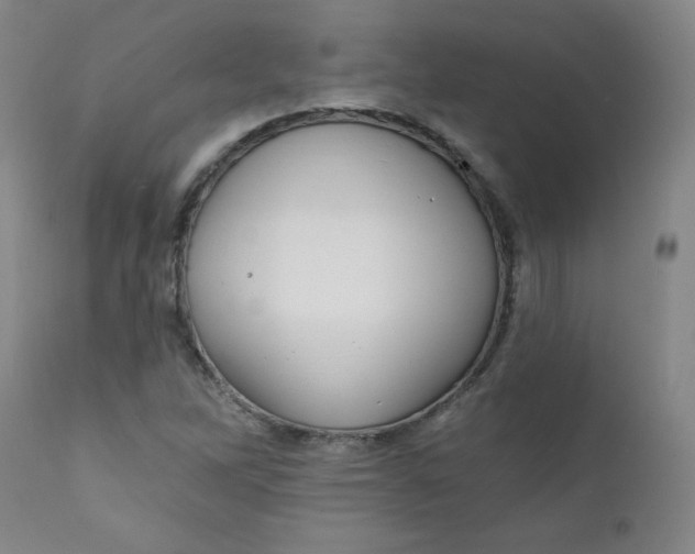 X0000112421262200909041404