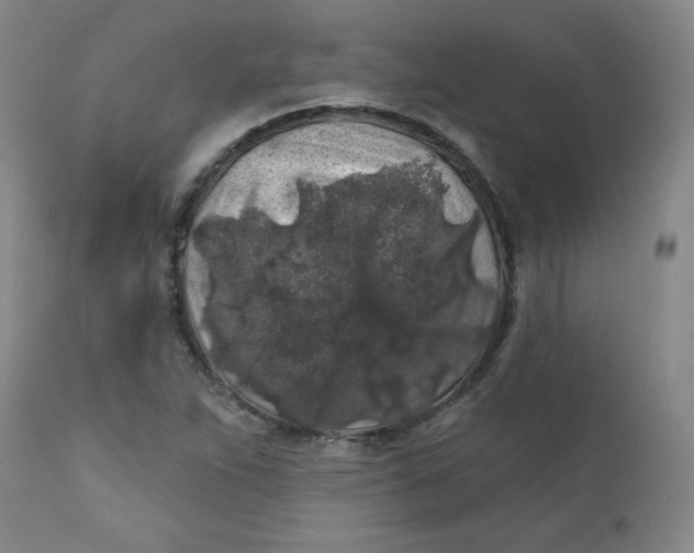 X0000112421263200909041404