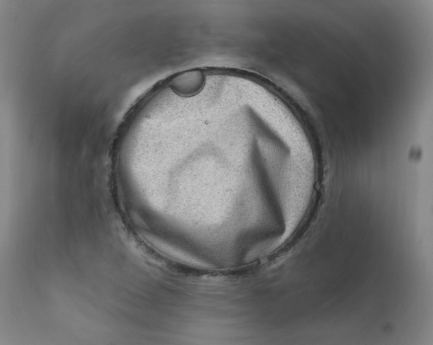 X0000112421264200909041404