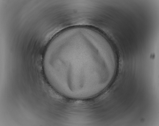 X0000112421265200909041404