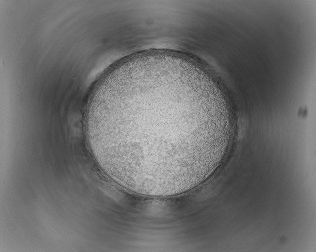 X0000112421266200909041404