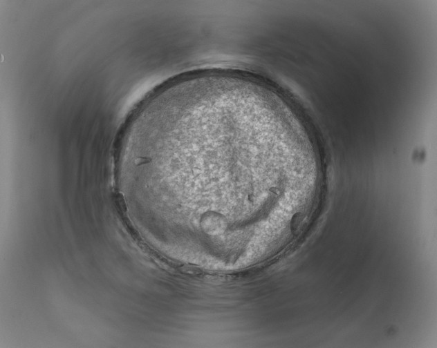 X0000112421267200909041404